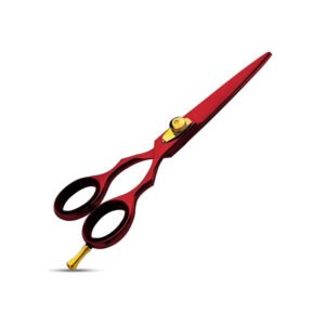 Hair Cutting Scissors